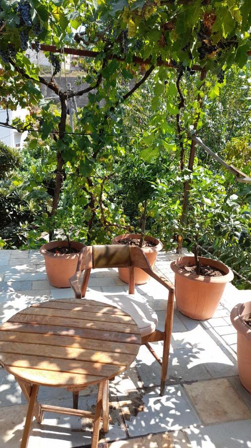 Camping Late Gjirokastër 外观 照片