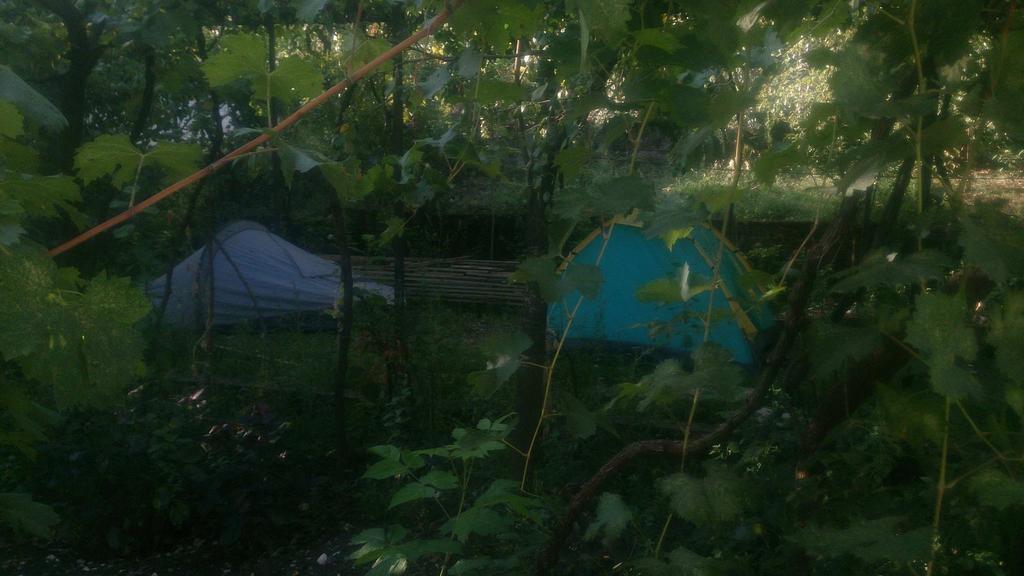 Camping Late Gjirokastër 外观 照片
