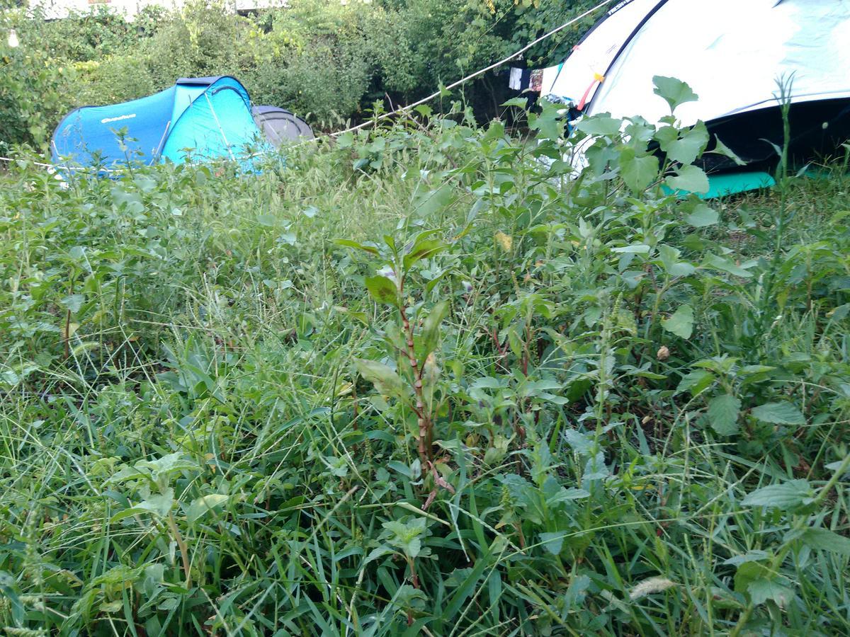 Camping Late Gjirokastër 外观 照片